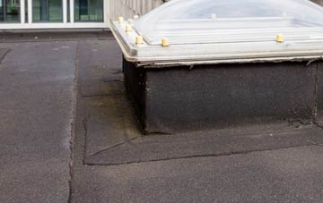 disadvantages of Wernffrwd flat roofs