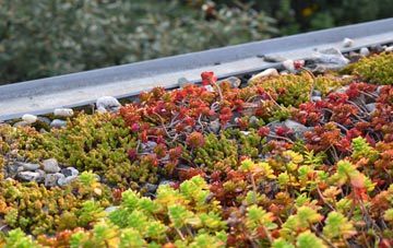 the cost of Wernffrwd green roof installation