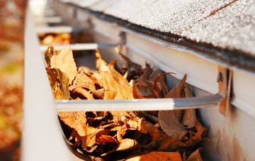 Wernffrwd gutter cleaning companies