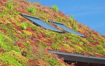 Wernffrwd living roof systems