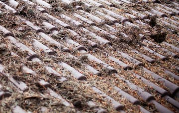 Wernffrwd roof cleaning companies