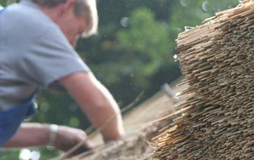 professional Wernffrwd thatchers