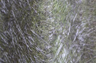 Wernffrwd fibreglass roof work